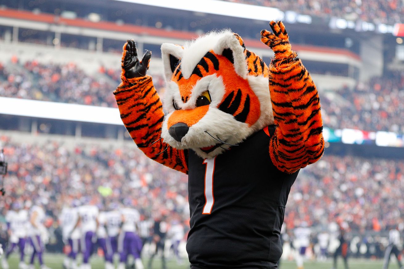 NFL: DEC 16 Vikings at Bengals
