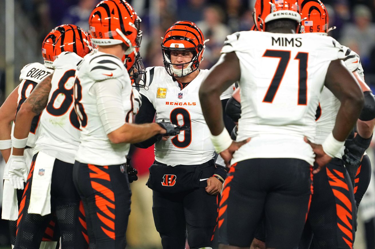 NFL: Cincinnati Bengals at Baltimore Ravens