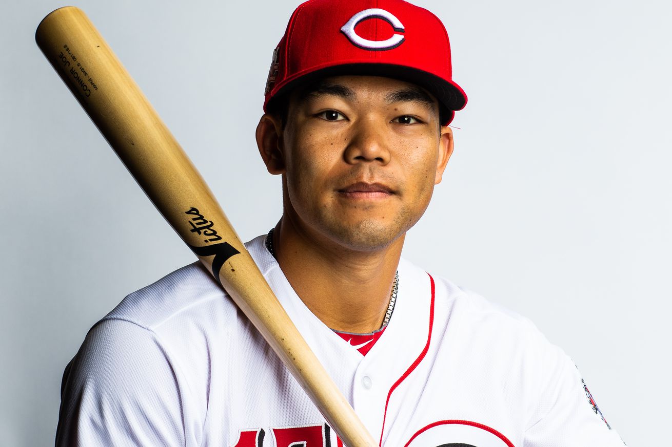 Cincinnati Reds Photo Day