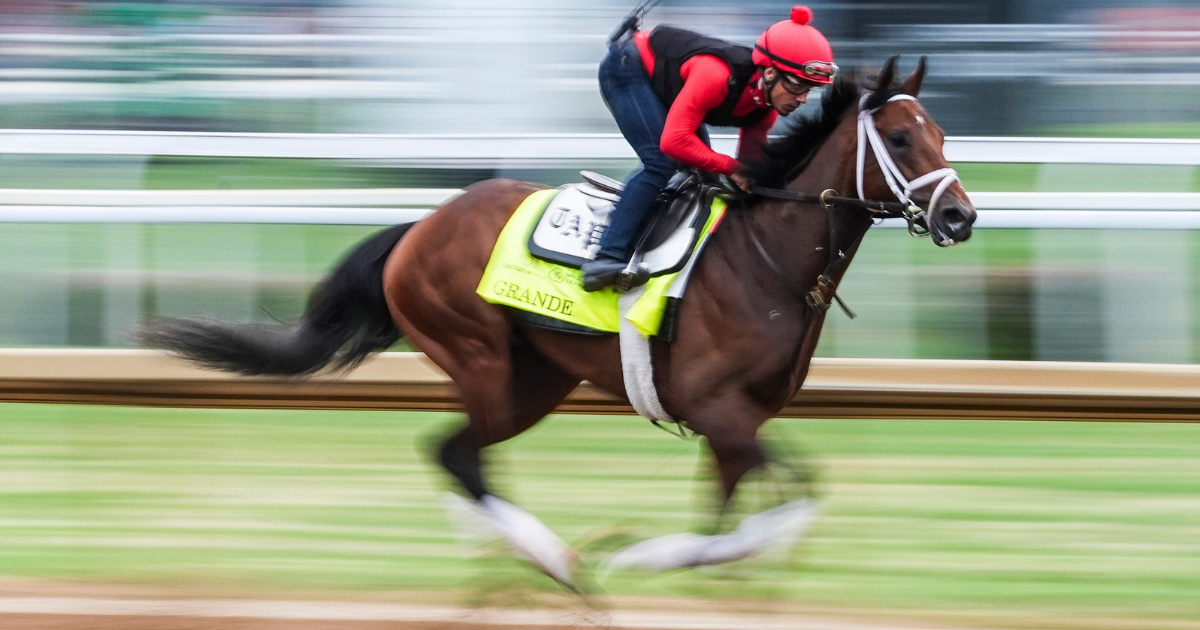 2025 Kentucky Derby contender Grande works with rider Juan Suarez Wednesday morning, April 30, 2025 at Churchill Downs in Louisville, Kentucky. Trainer is Todd Pletcher. The horse is son of Curtin. The 151st Kentucky Derby runs Saturday, May 3 - © Matt Stone/Courier Journal / USA TODAY NETWORK via Imagn Images