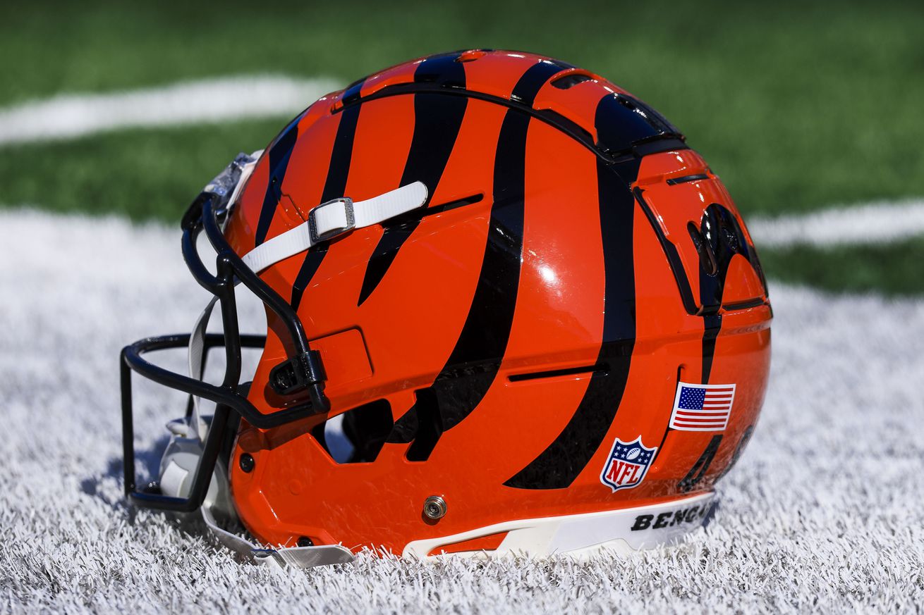 NFL: Pittsburgh Steelers at Cincinnati Bengals