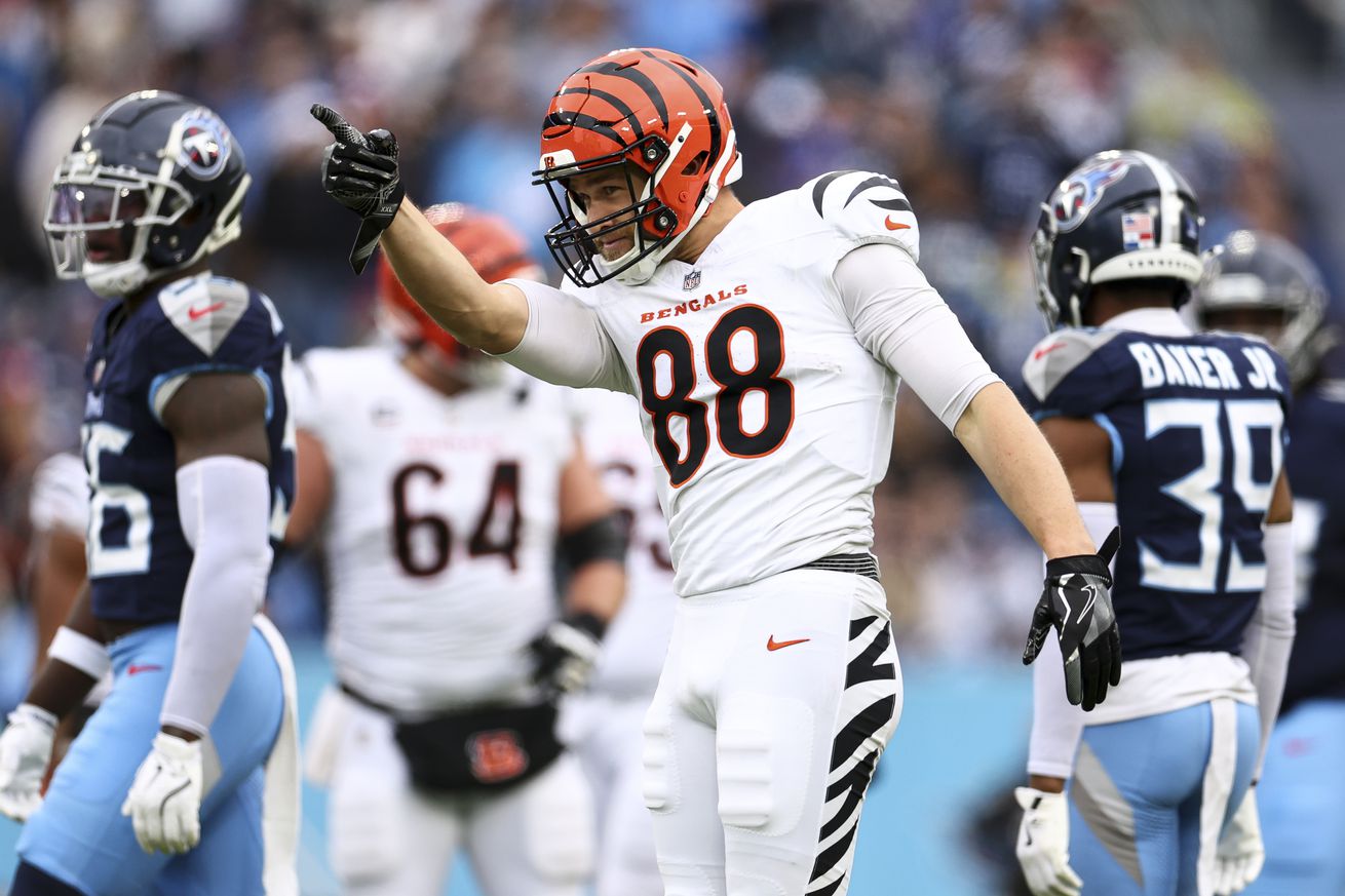 Cincinnati Bengals v Tennessee TItans