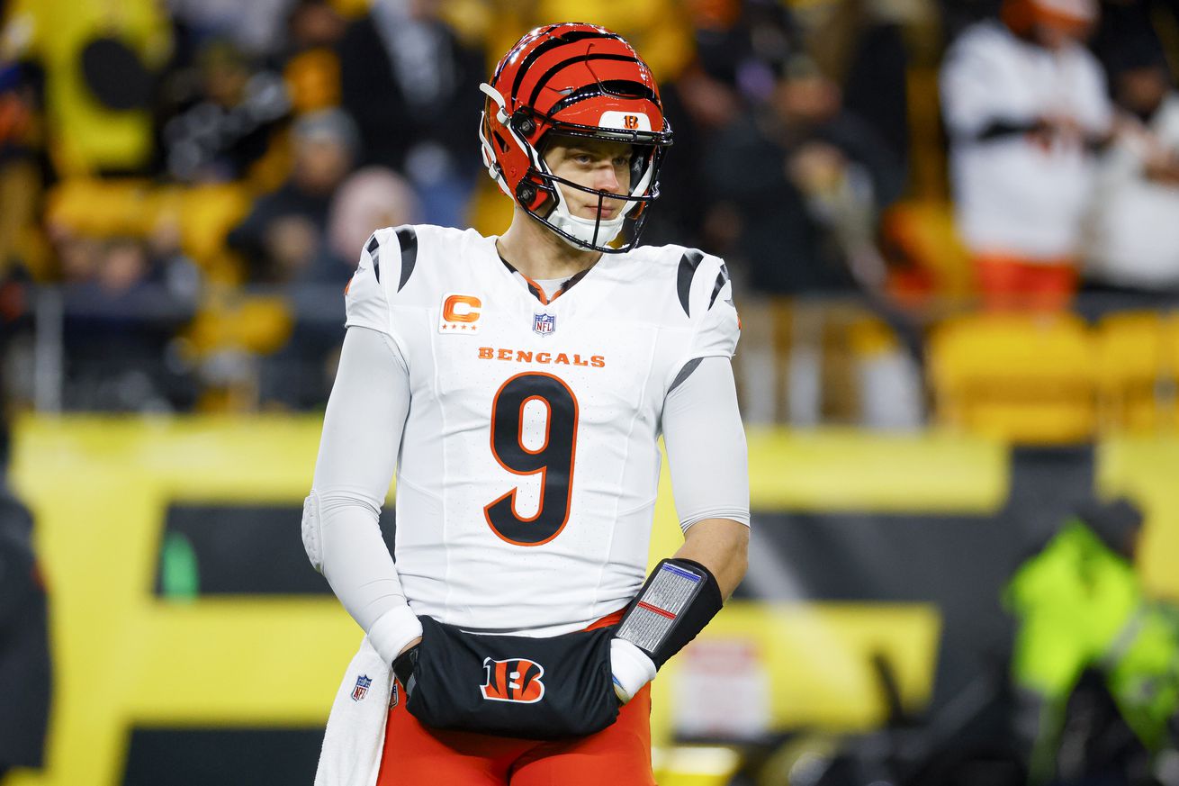 Cincinnati Bengals v Pittsburgh Steelers