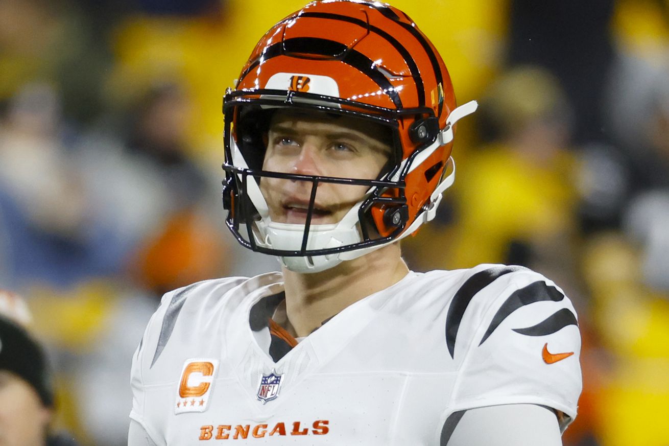 Cincinnati Bengals v Pittsburgh Steelers