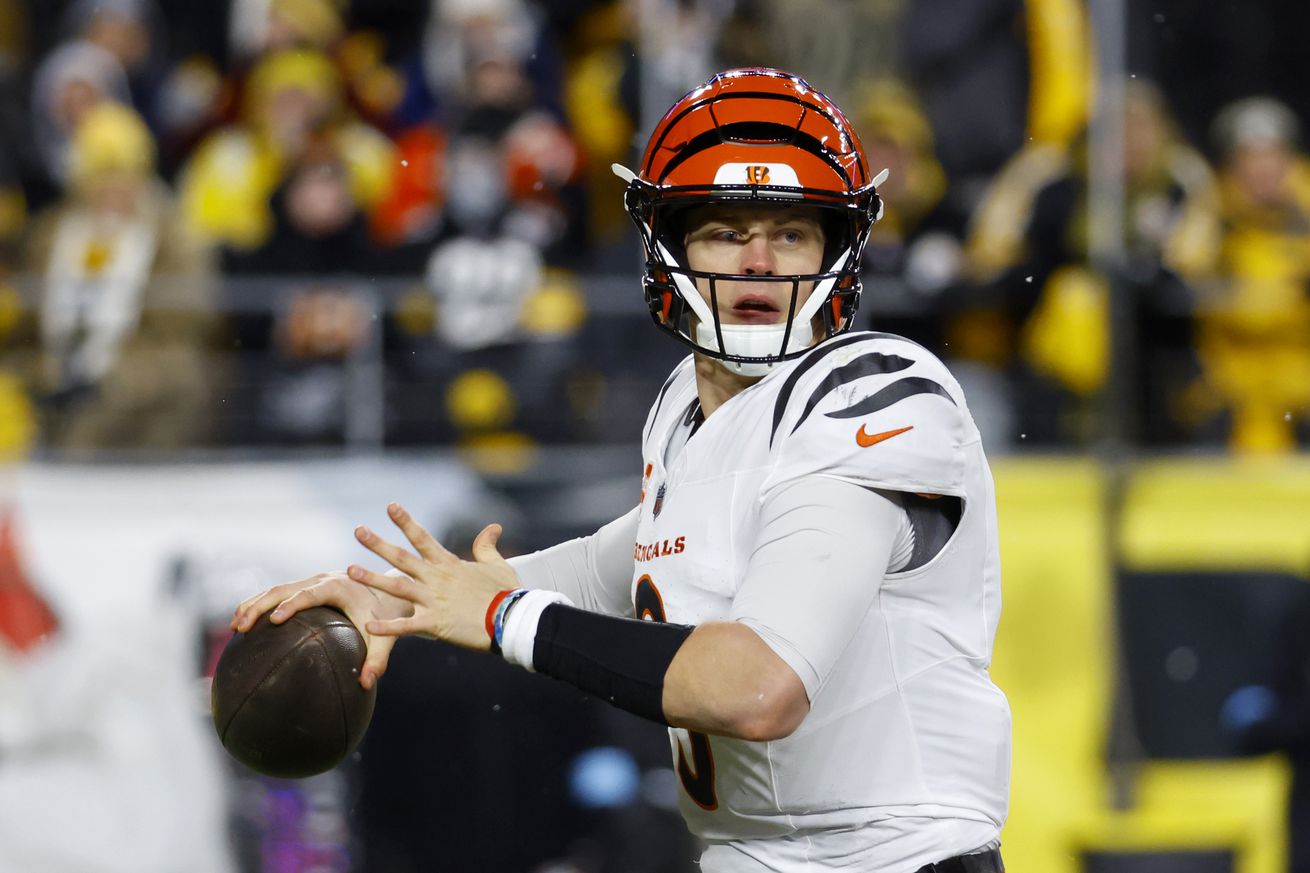 Cincinnati Bengals v Pittsburgh Steelers