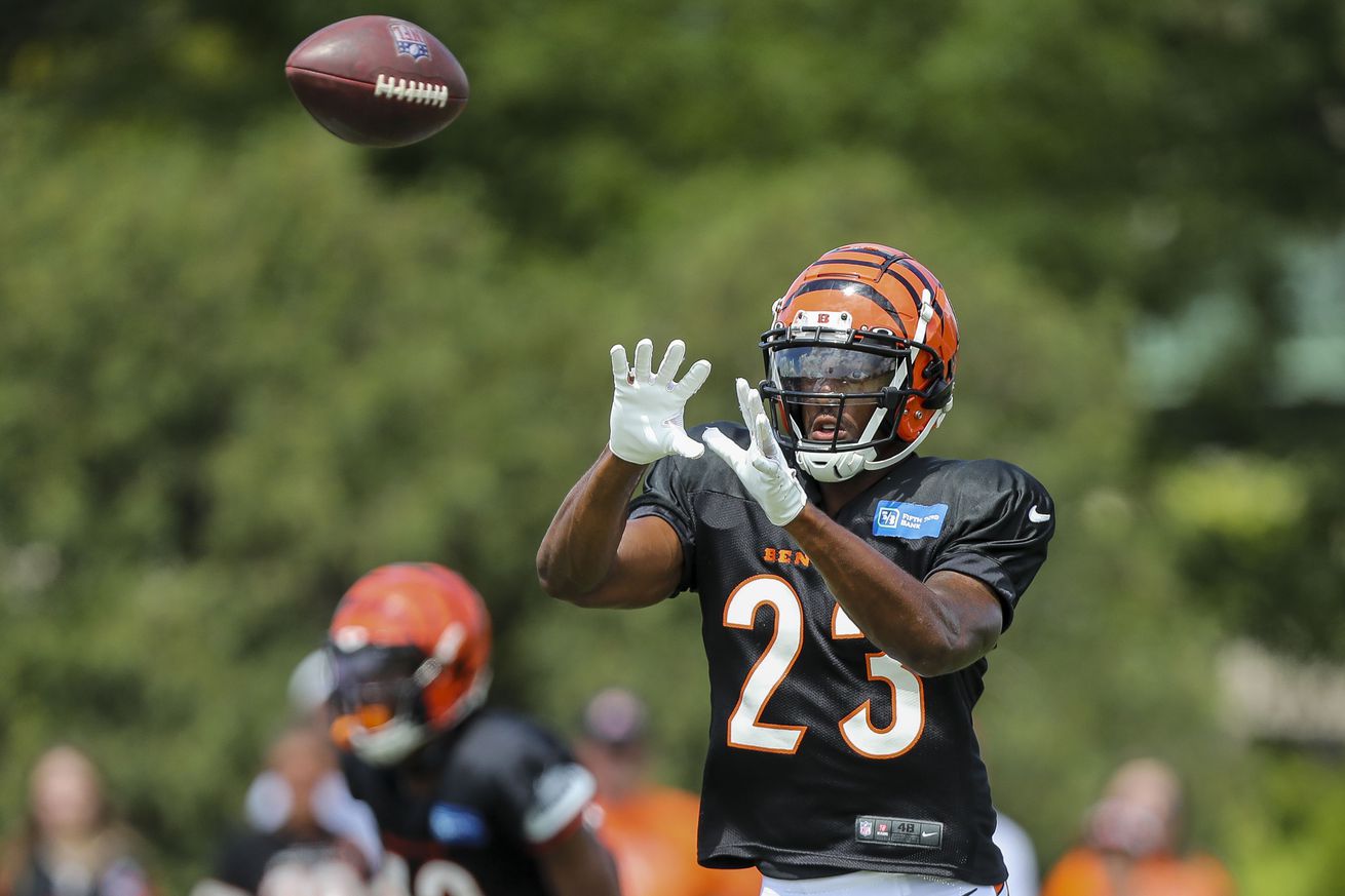 NFL: Cincinnati Bengals Training Camp