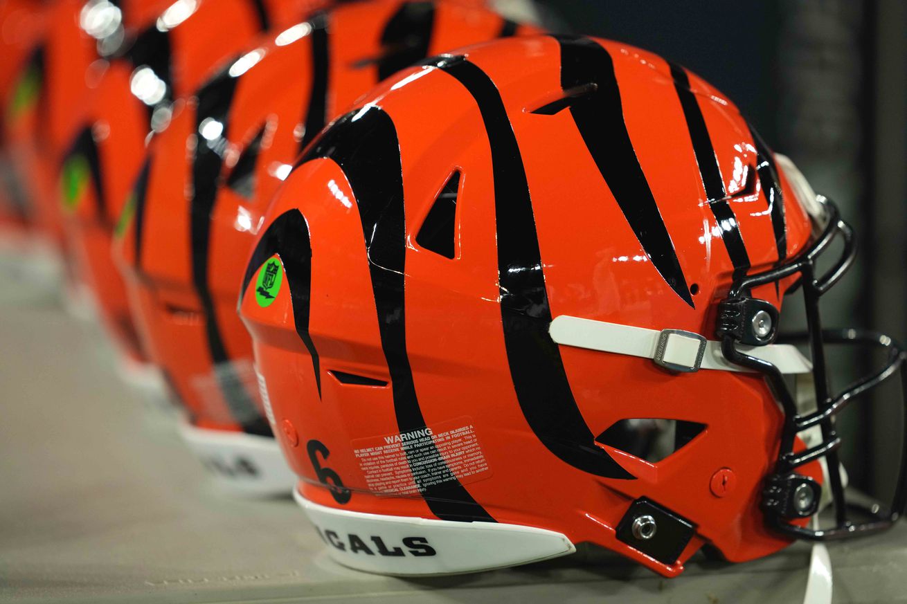 NFL: Cincinnati Bengals at Baltimore Ravens