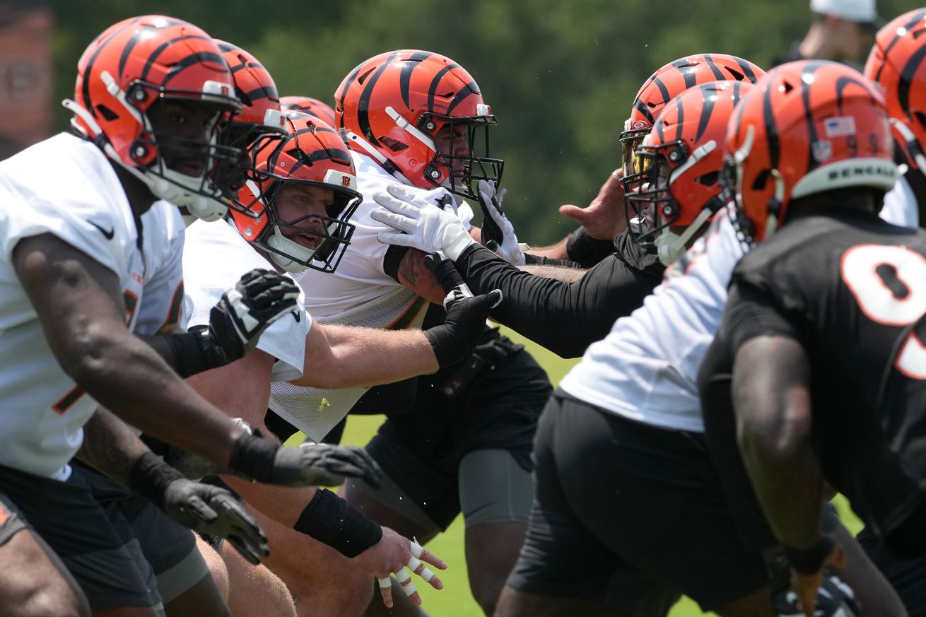 NFL: Cincinnati Bengals Minicamp