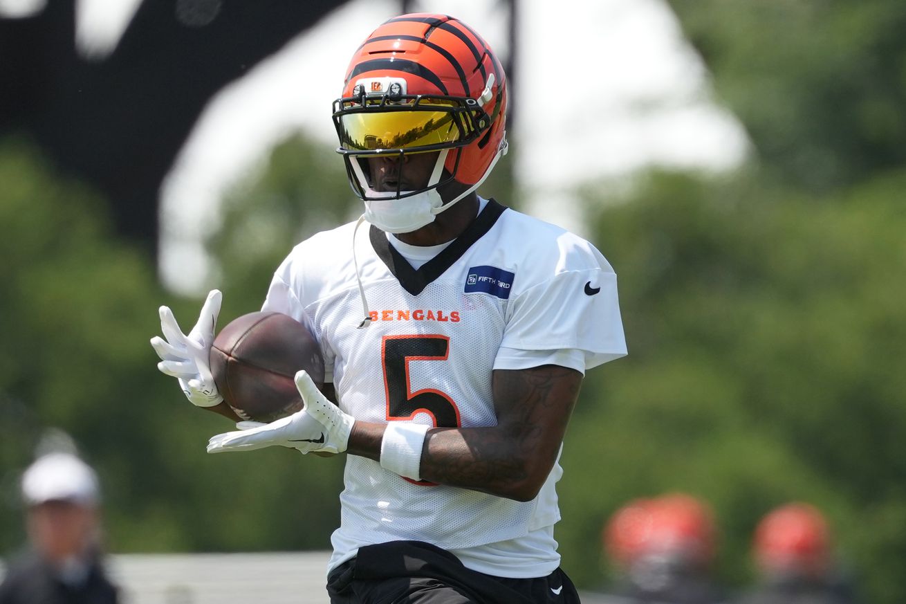 NFL: Cincinnati Bengals Minicamp
