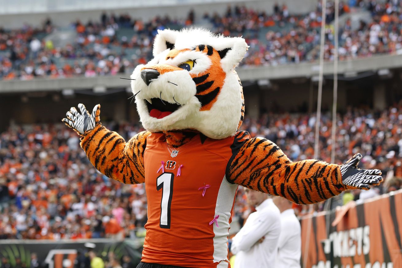 NFL: Carolina Panthers at Cincinnati Bengals