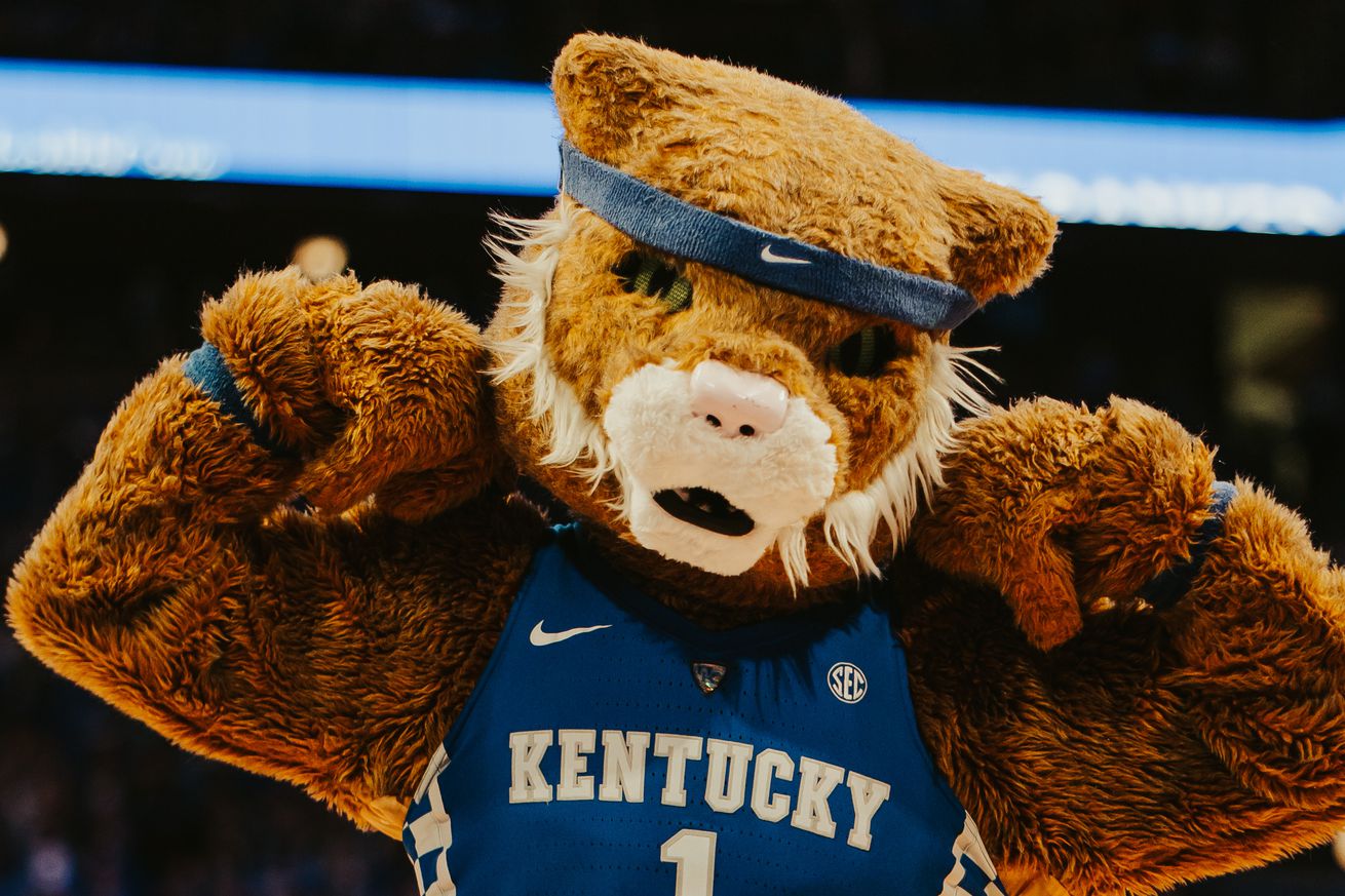 Wildcat Mascot