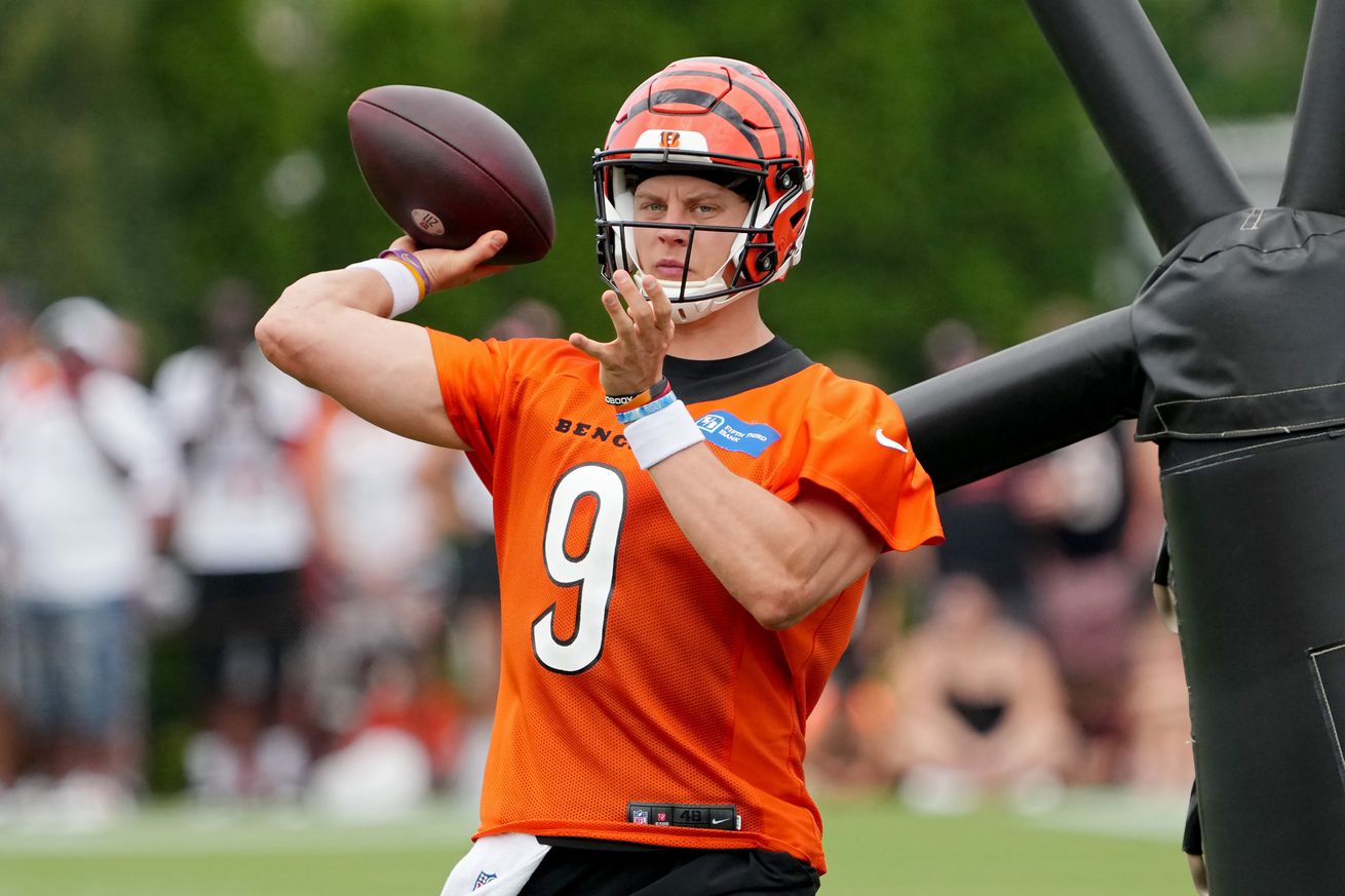 Cincinnati Bengals Training Camp