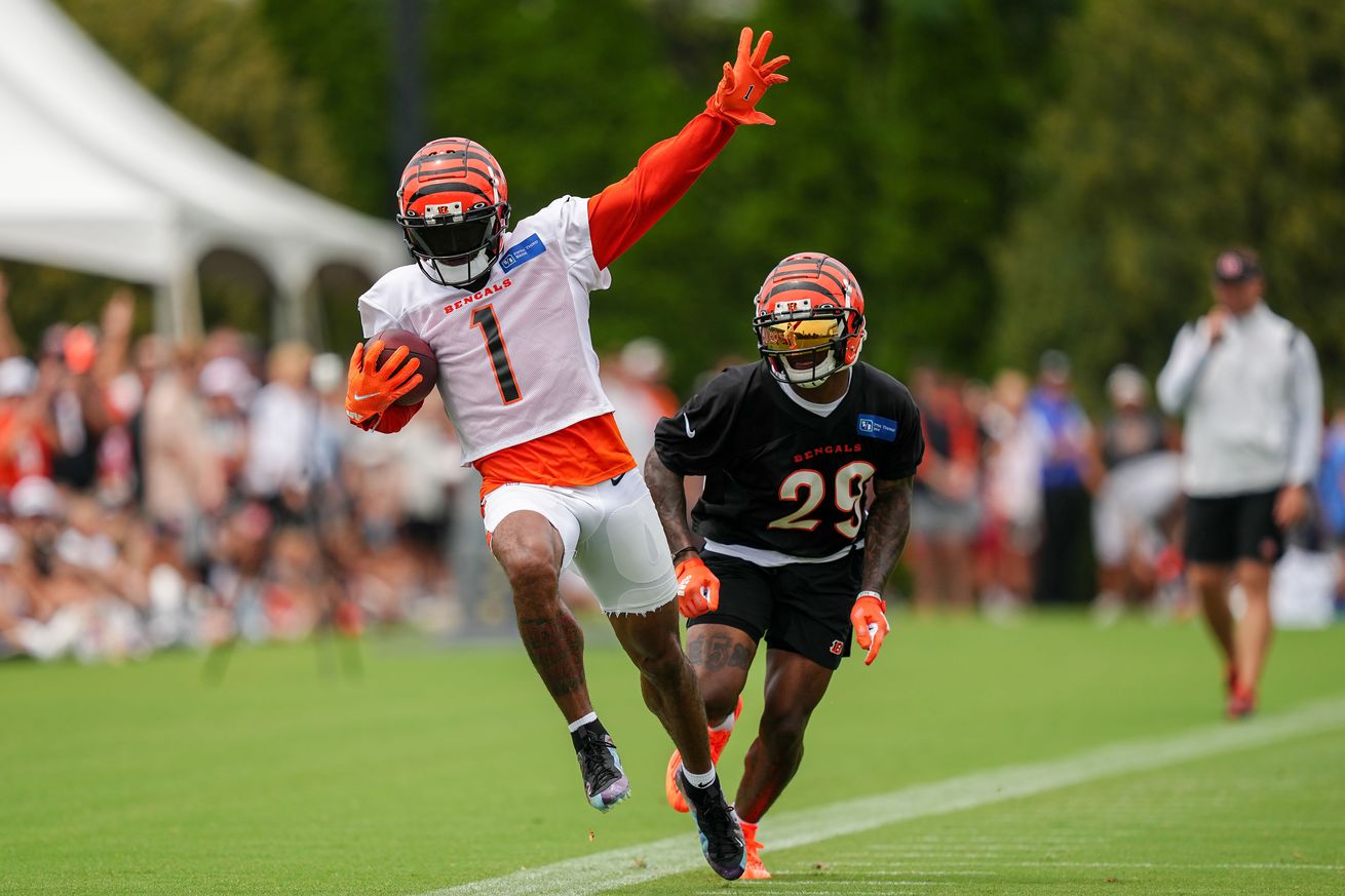 Cincinnati Bengals Training Camp