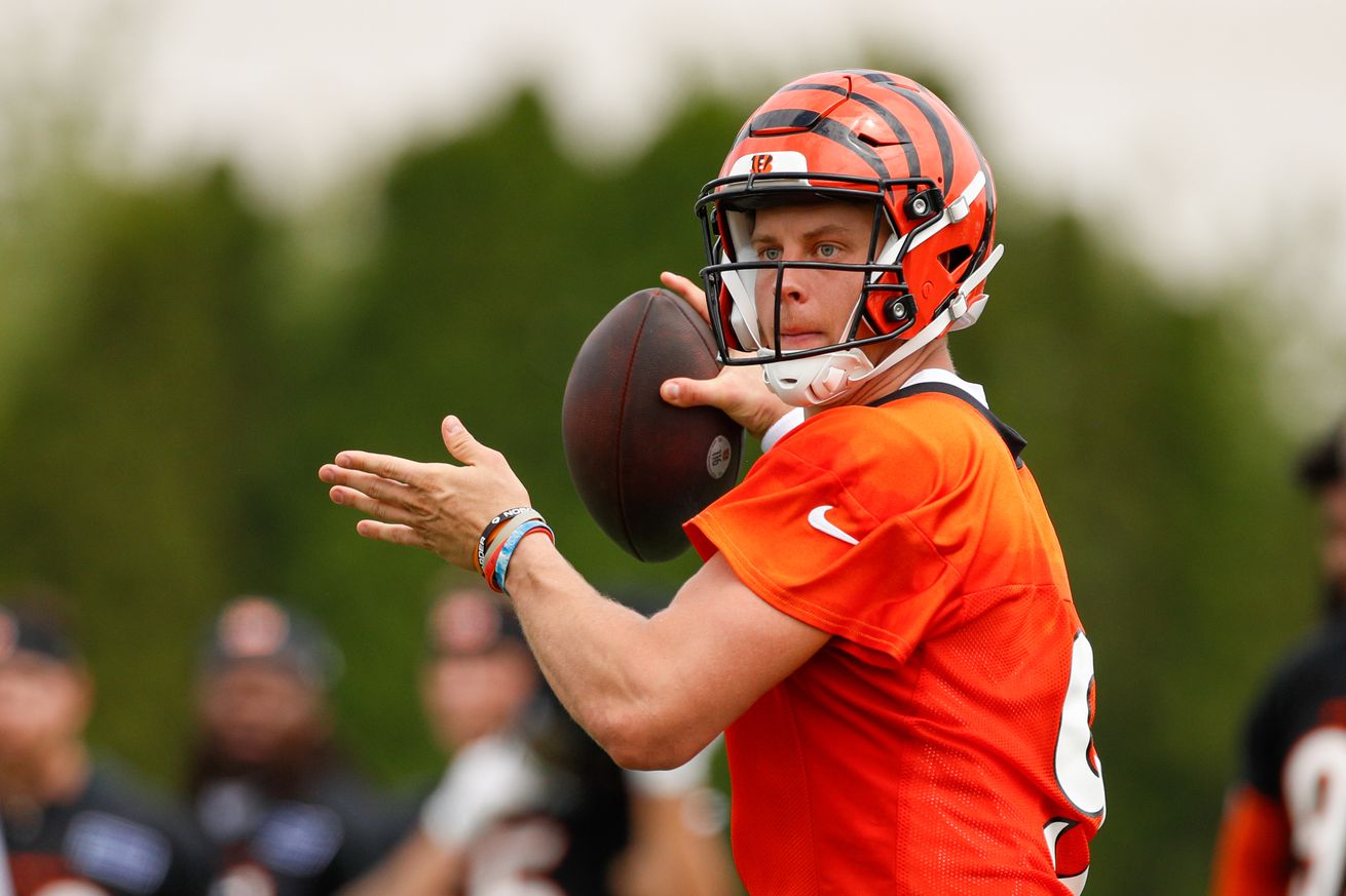 NFL: JUL 29 Bengals Training Camp