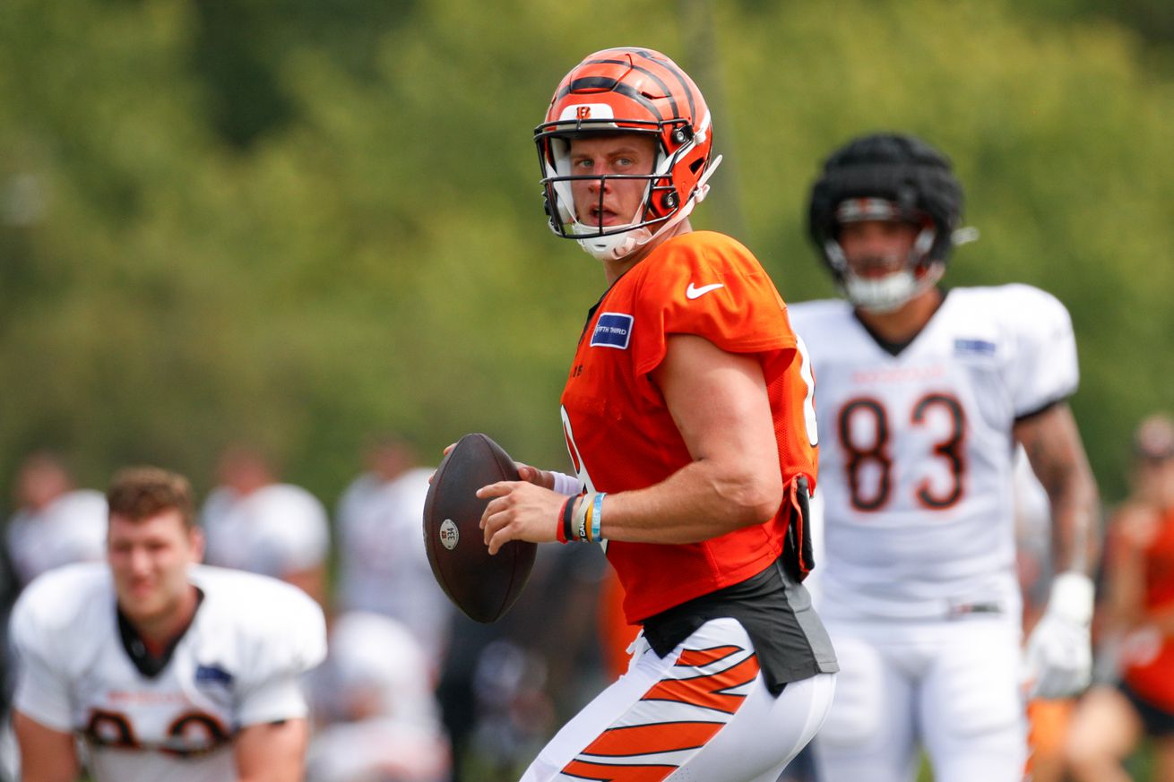 NFL: AUG 01 Bengals Training Camp