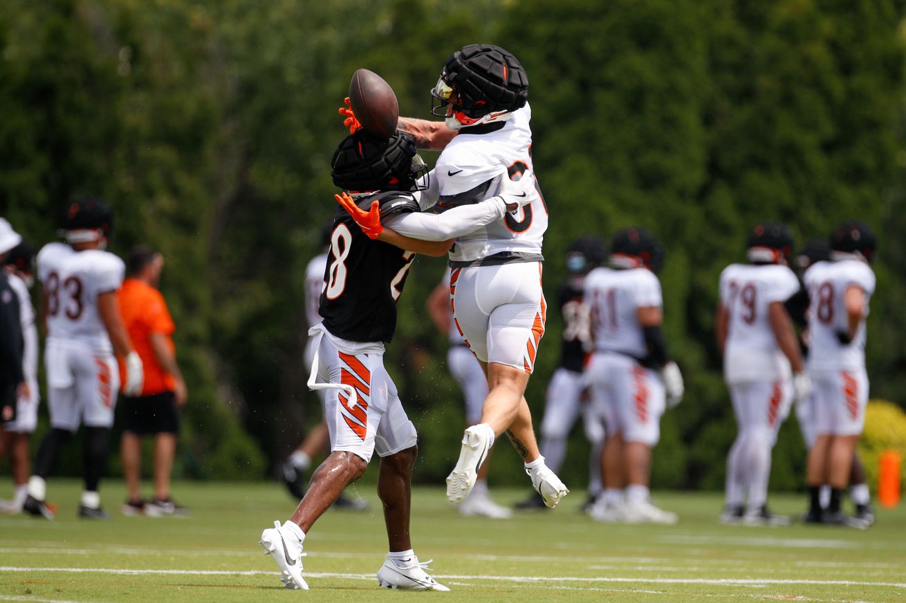 NFL: AUG 01 Bengals Training Camp