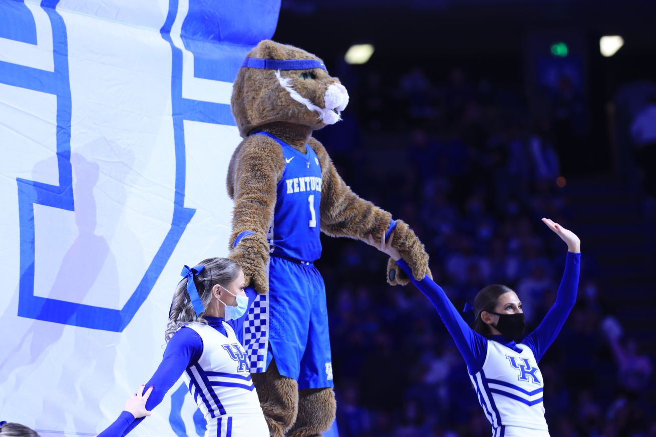 Wildcat Mascot