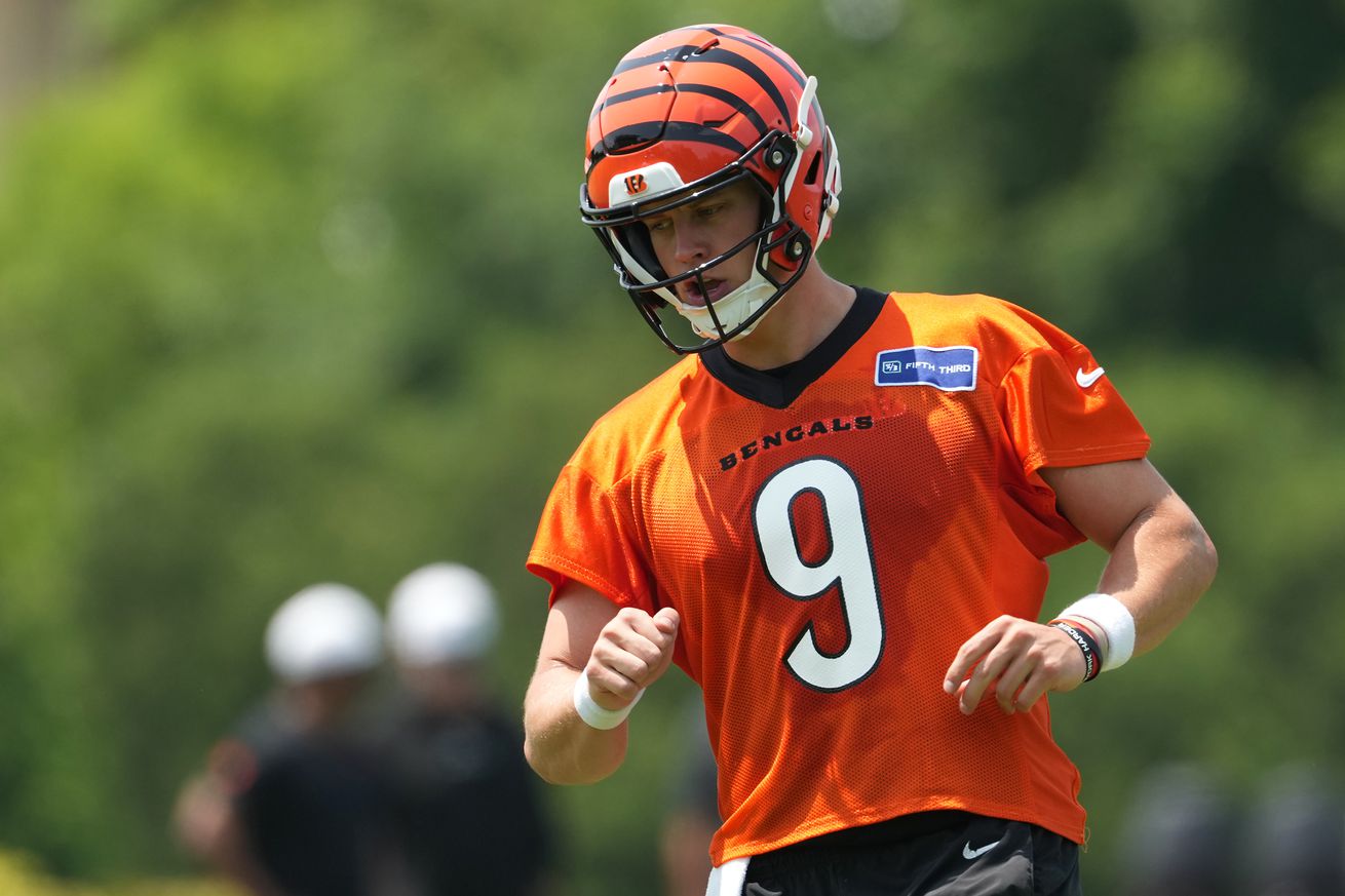 NFL: Cincinnati Bengals Minicamp