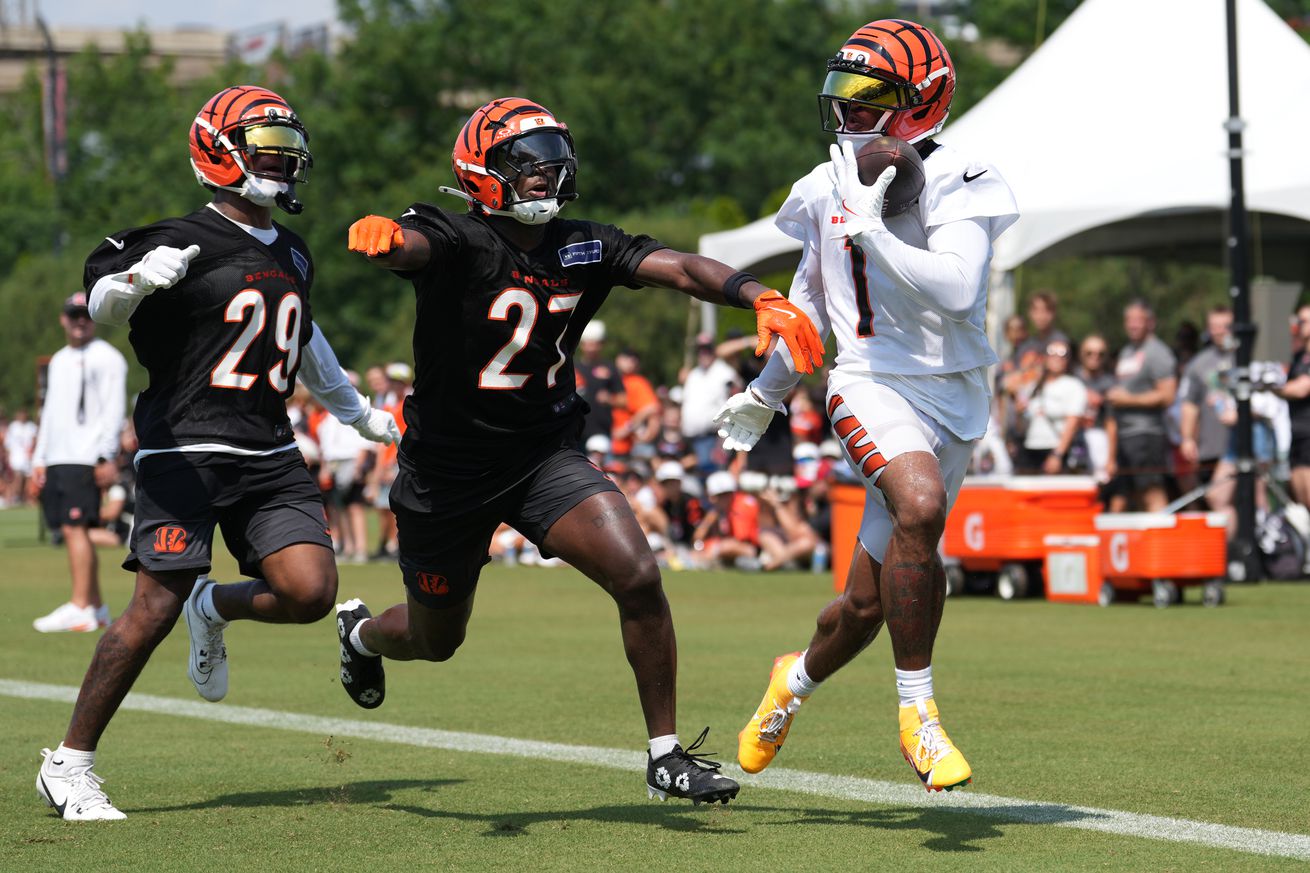 NFL: Cincinnati Bengals Training Camp
