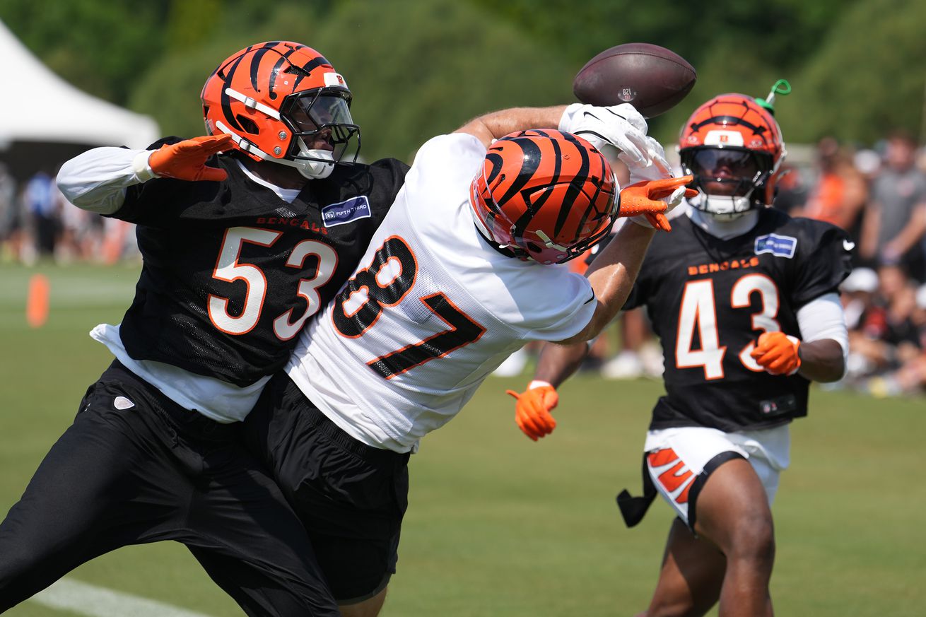 NFL: Cincinnati Bengals Training Camp