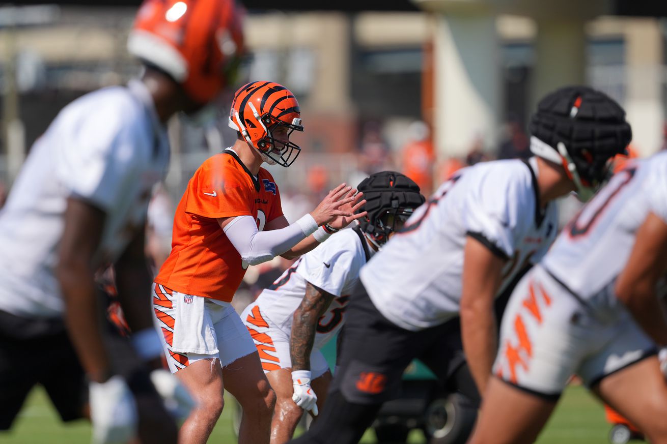 NFL: Cincinnati Bengals Training Camp
